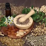kojja kansiiwa